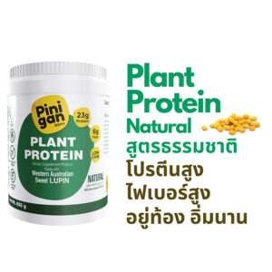 PINIGAN Plant Protein supplement, natural