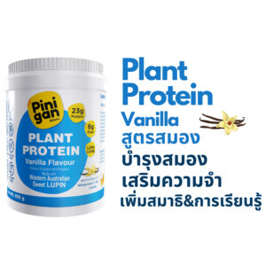 PINIGAN Plant Protein supplement, Vanilla flavor